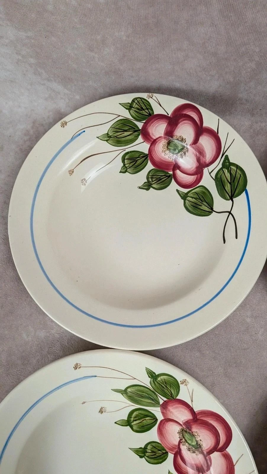 Set of 9 Sarreguemines Liliane model hollow plates – photo 6